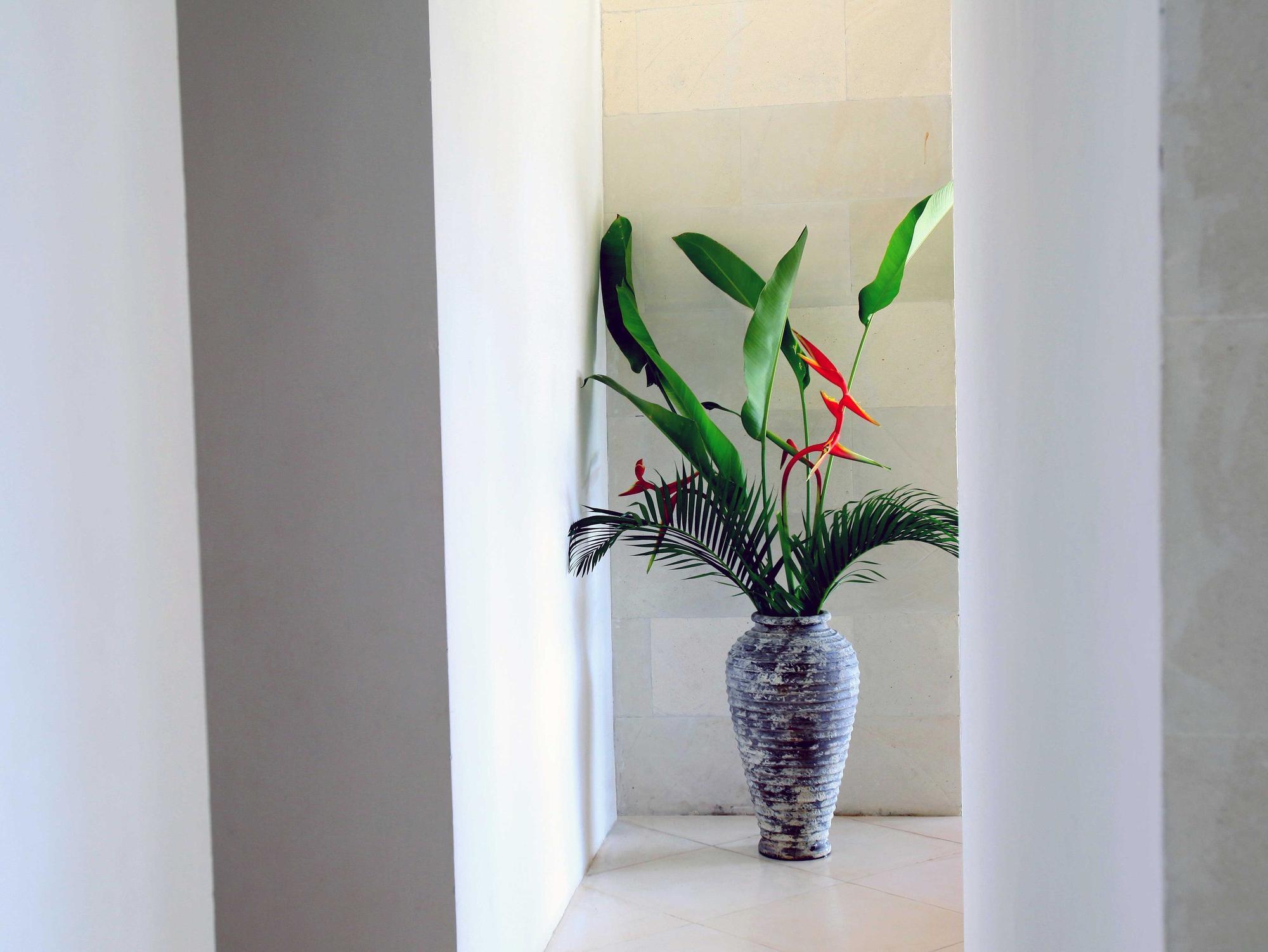 Jeda Villa Modern Stylish Luxury Villa Pemuteran Dış mekan fotoğraf
